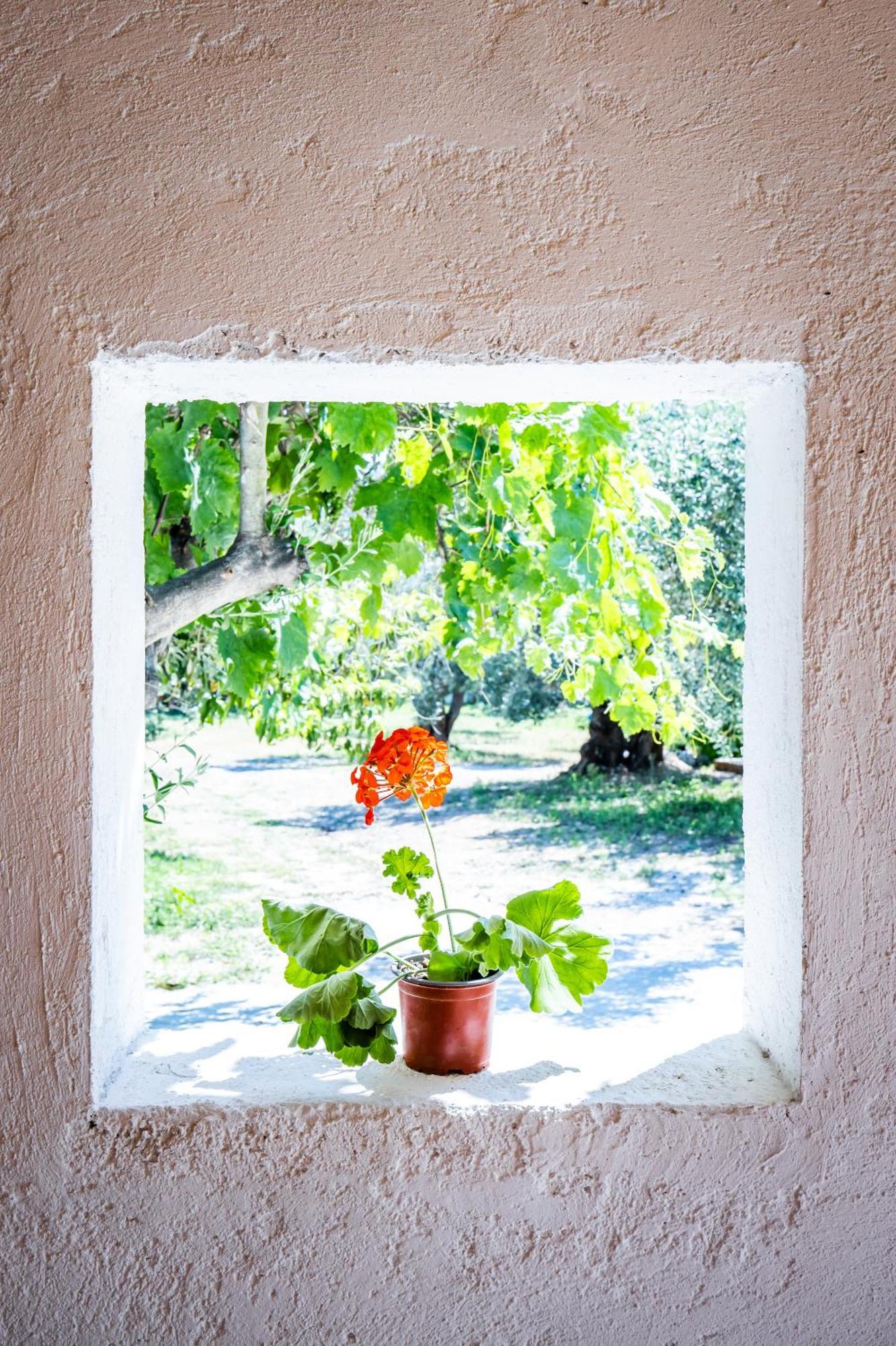 Villa Eleonora'S Skopelos Exterior foto